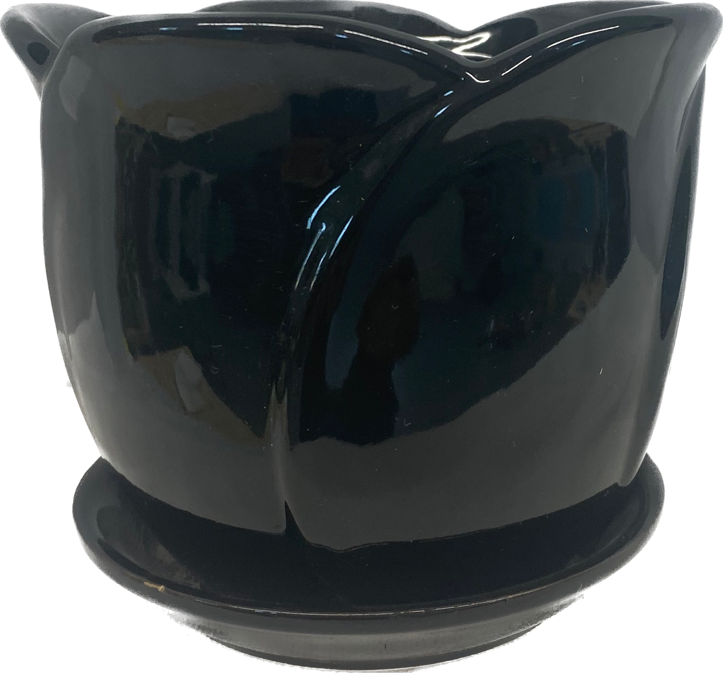 TULIP FLORAL GLAZED POT WITH SAUCER - BLACK