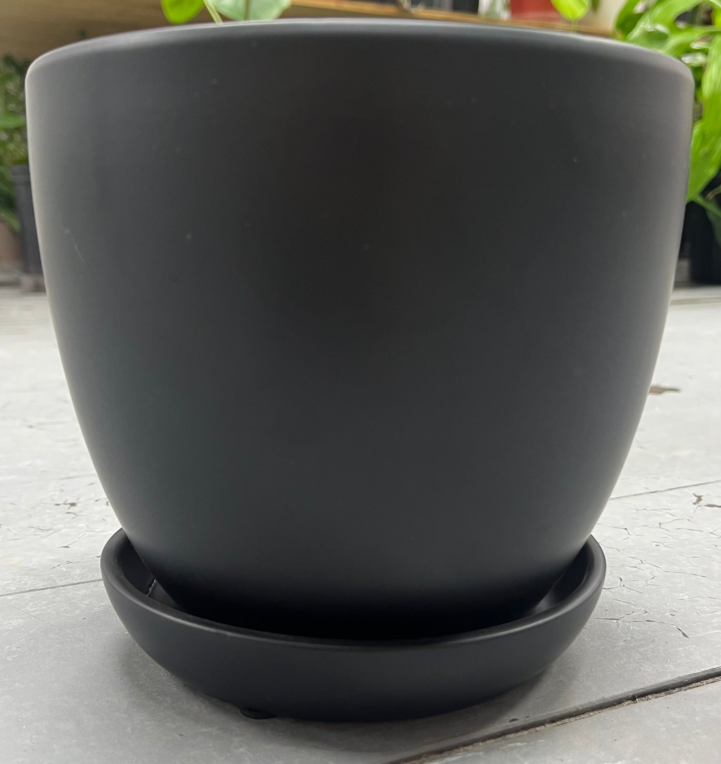 BELL FLORAL GLAZED POT WITH SAUCER - MATTE BLACK