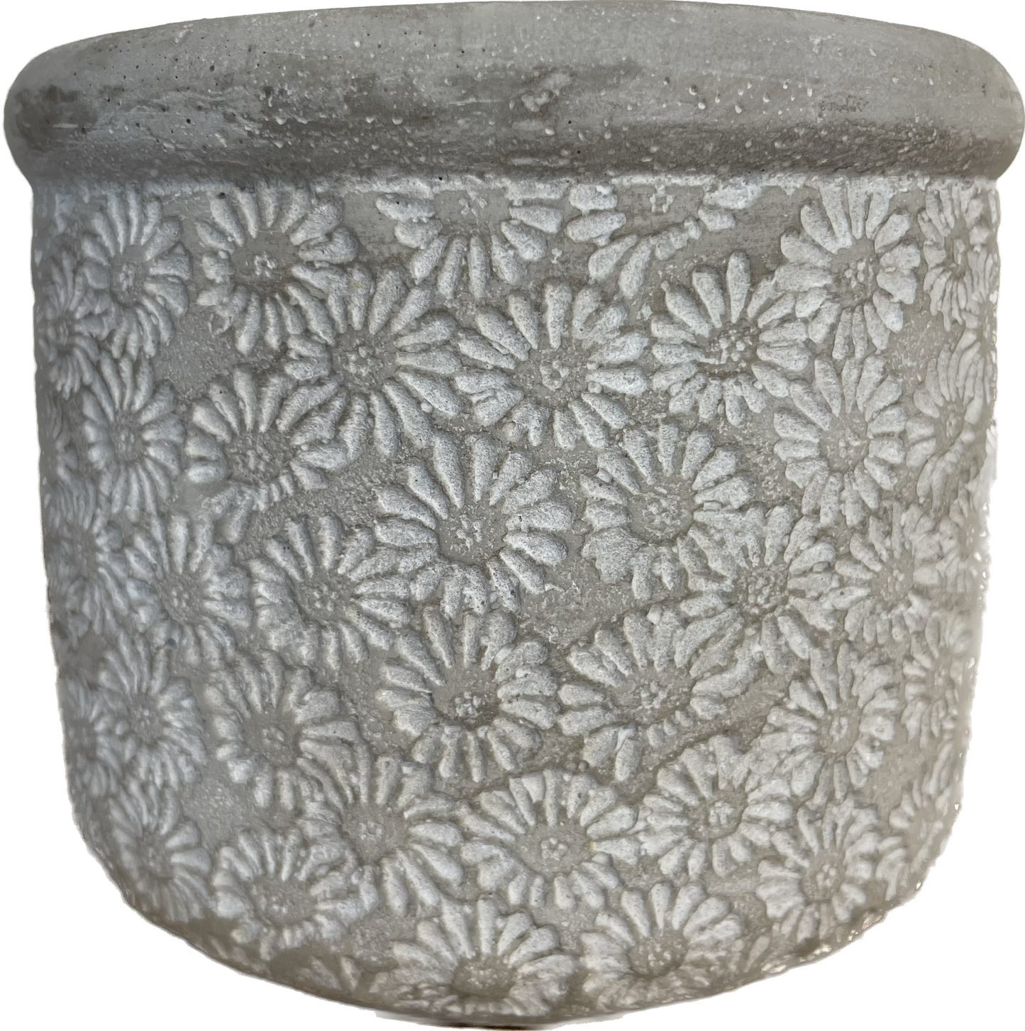 Tall Flower Power Concrete Pot