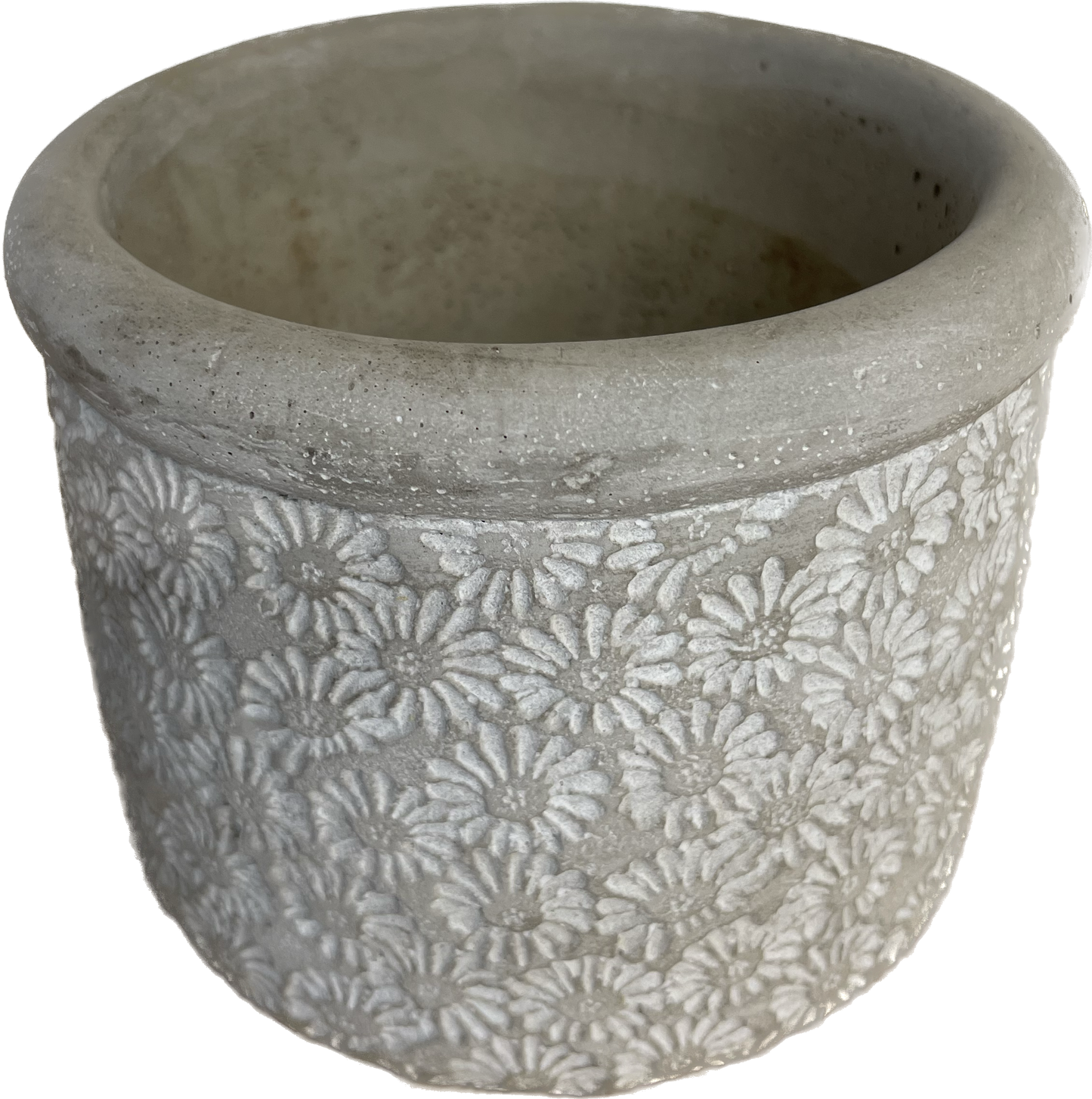 Tall Flower Power Concrete Pot